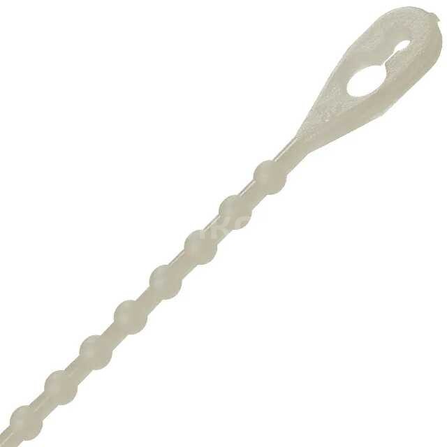 BT-6-01-NT BT-6-01-NT