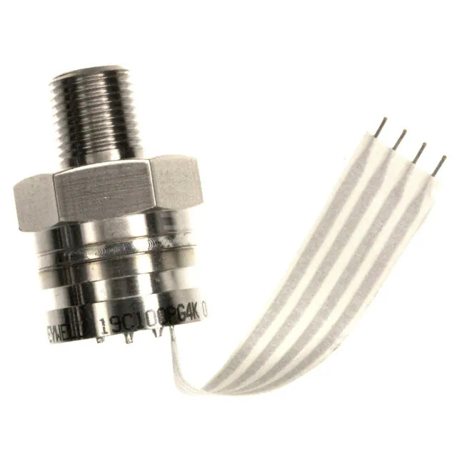 19C100PG4K 19C100PG4K