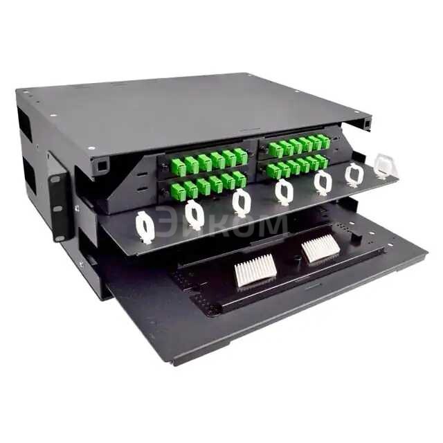 F1RMSP4RU4X F1RMSP4RU4X