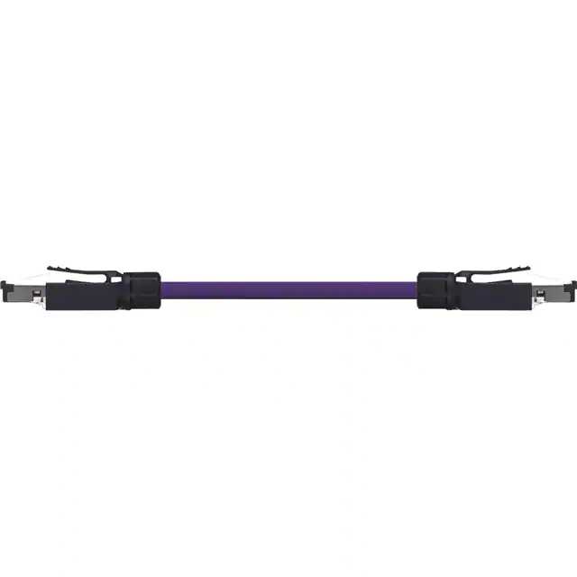 CAT5E PVC-100FT