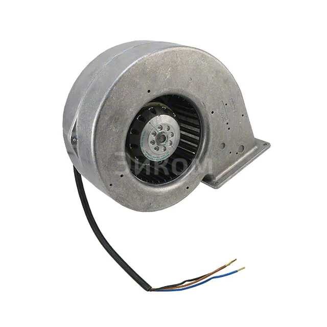 G2E146-BF05-29 G2E146-BF05-29