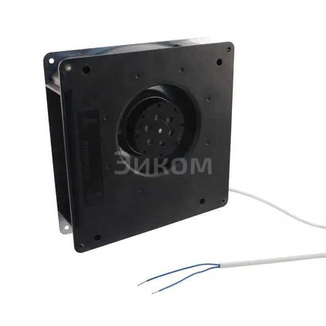 RG125-19/06 RG125-19/06