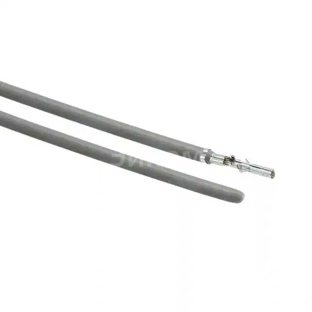 0039000038-02-S0 0039000038-02-S0