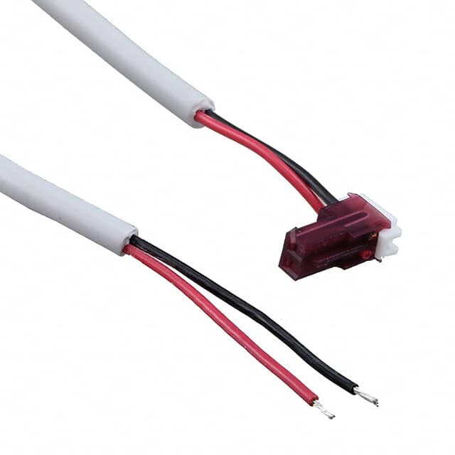 RCK2-100-1 RCK2-100-1