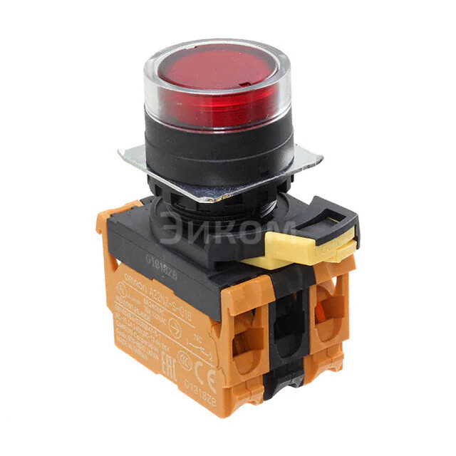 A22NL-BGM-TRA-G202-RD A22NL-BGM-TRA-G202-RD