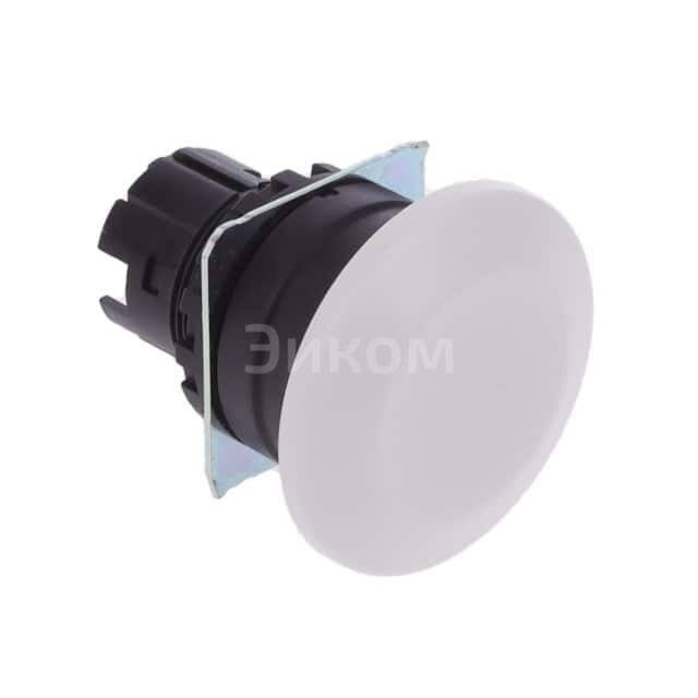 A22NZ-BMA-NWA A22NZ-BMA-NWA