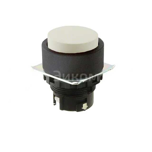 A22NZ-BPM-TWA A22NZ-BPM-TWA