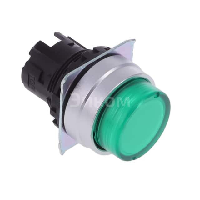 A22NZ-MPM-TGA A22NZ-MPM-TGA