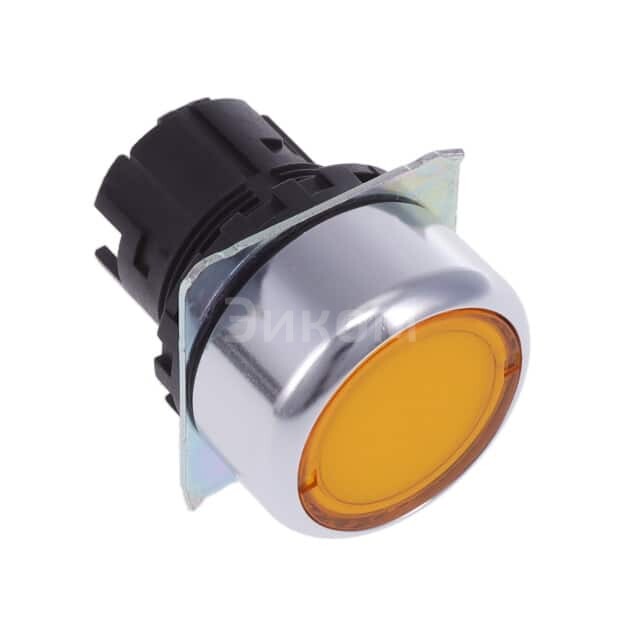 A22NZ-RNA-TYA A22NZ-RNA-TYA