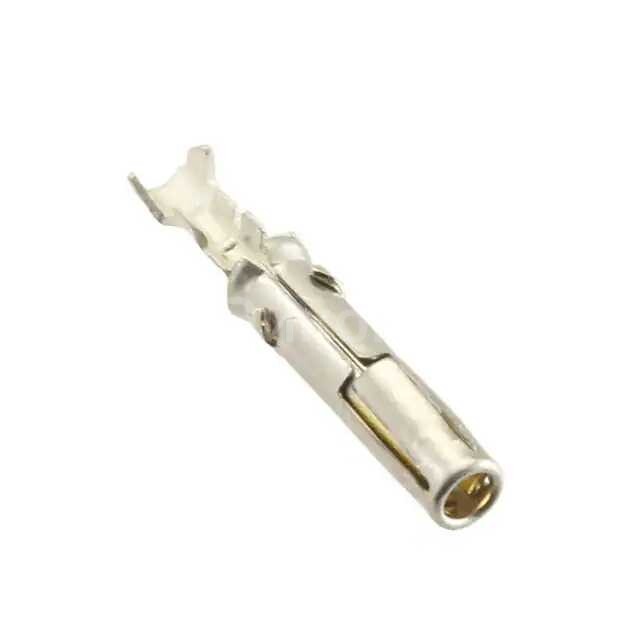 SC24ML1S31 SC24ML1S31