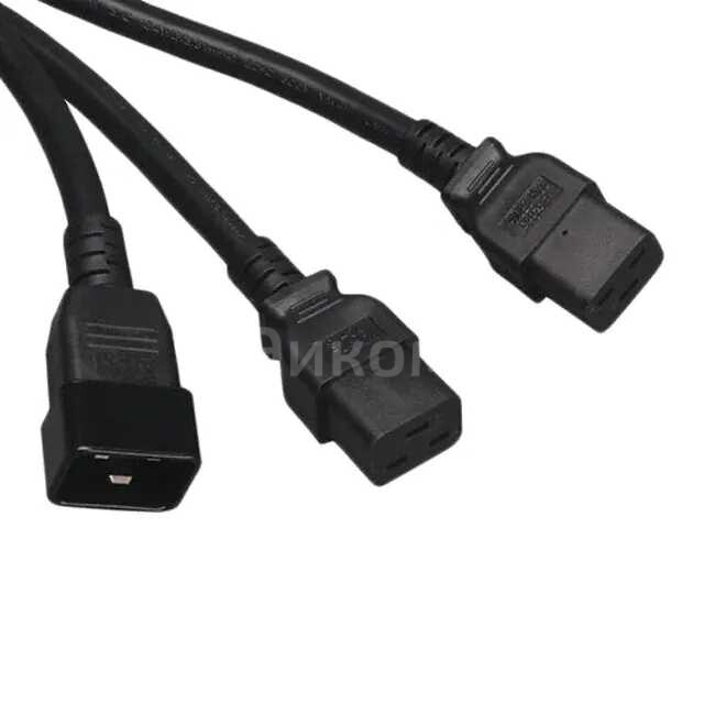 P036-006-2C19 P036-006-2C19