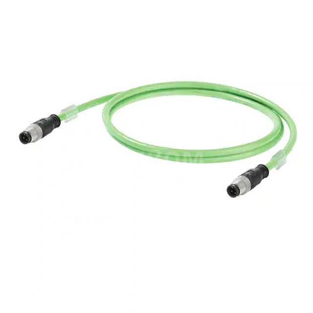 1025950300 1025950300