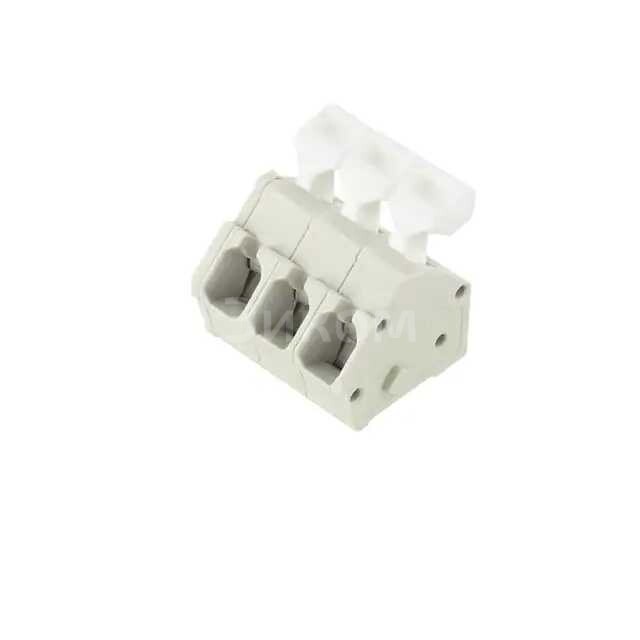 1568251511 1568251511