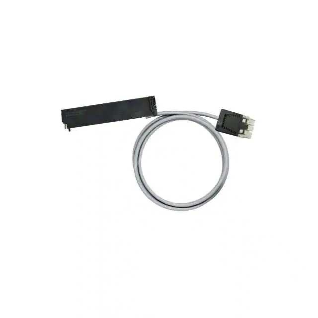 1733651529 1733651529