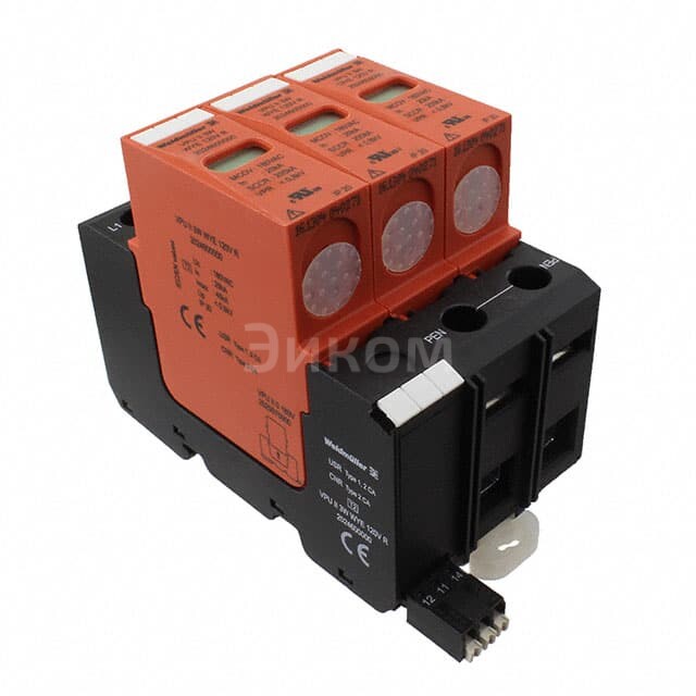 2024600000 2024600000