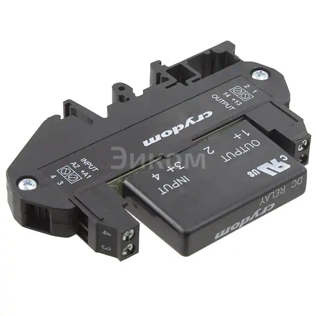 DRA1-MPDCD3 DRA1-MPDCD3