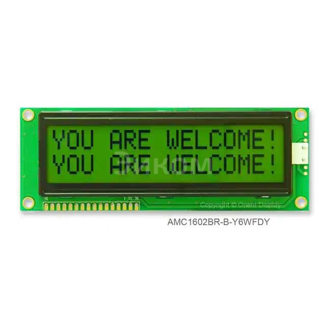 AMC1602BR-B-Y6WFDY AMC1602BR-B-Y6WFDY
