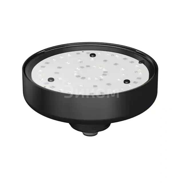 K90TFDLGRPQ K90TFDLGRPQ