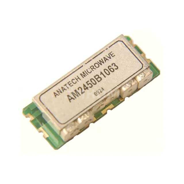 AM2450B1063 AM2450B1063