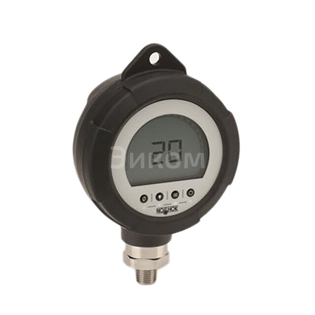 PGE20-3000PSIG-1-2-DL-RCP-ST8