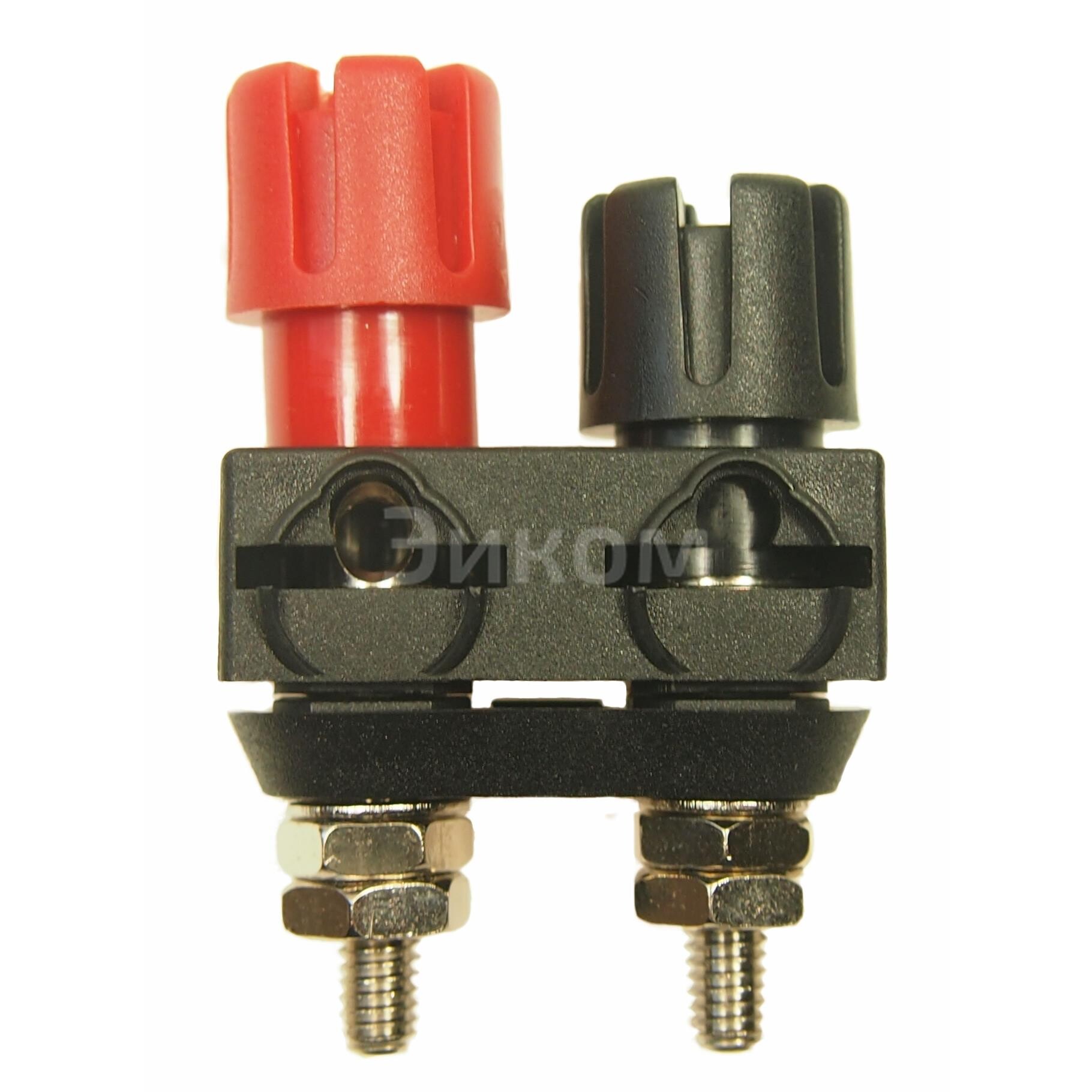 CL159706X1A CL159706X1A