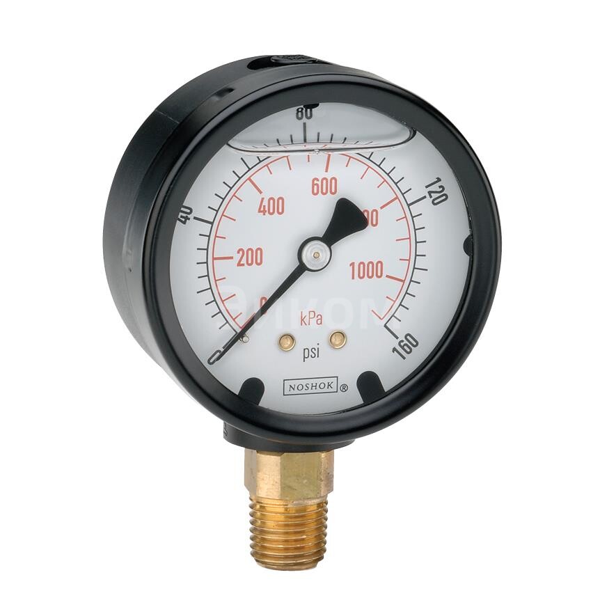 25-900-100-psi/kPa-GY40-BP3-CC